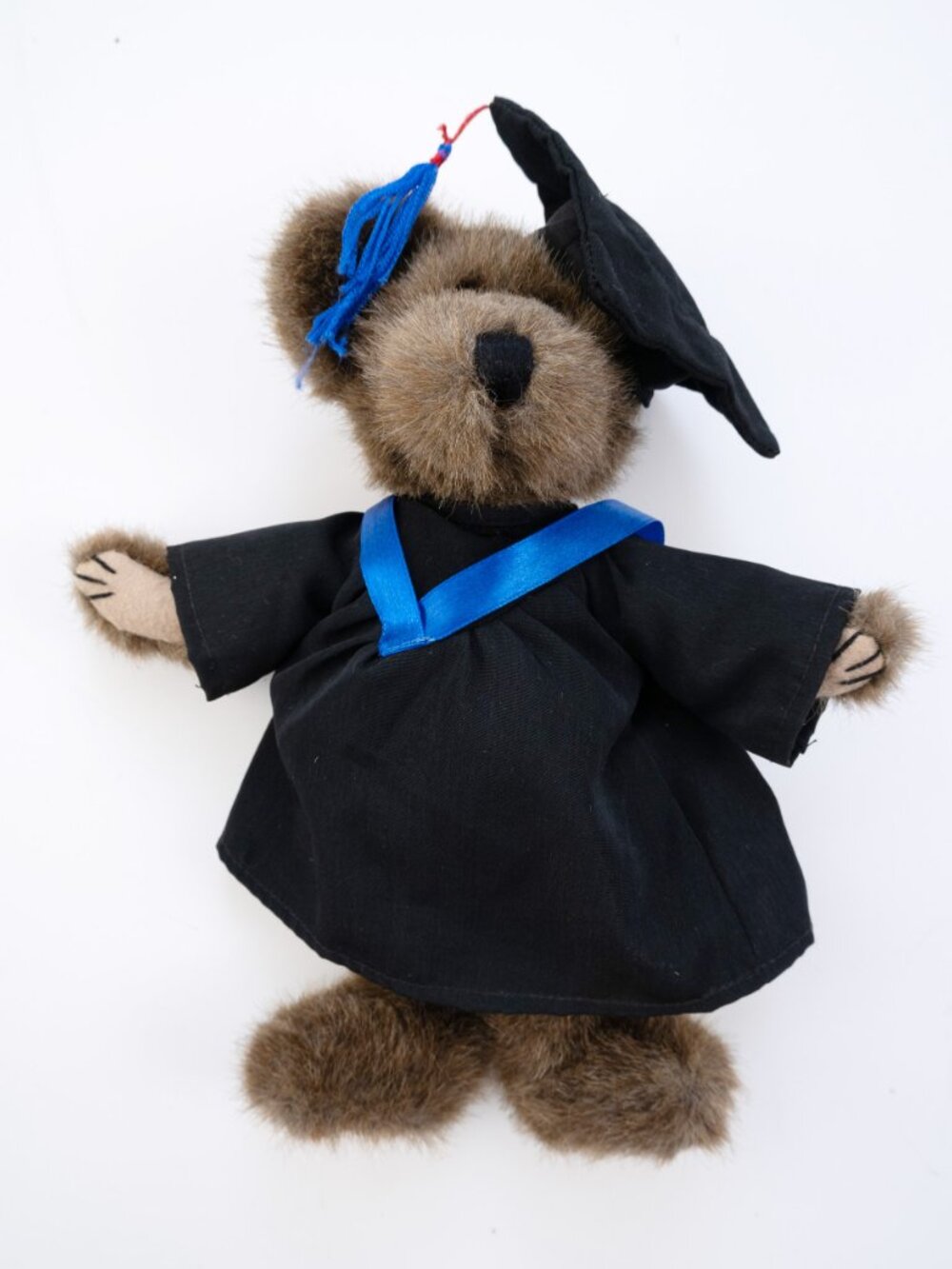 BOYDS BEARS Paxton Graduation bear